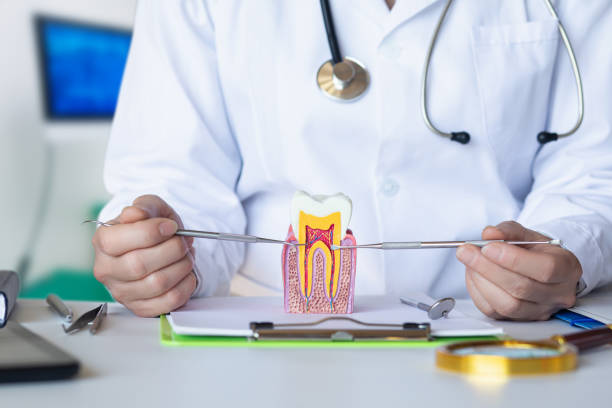 Best Emergency Orthodontic Repairs in Springville, IA
